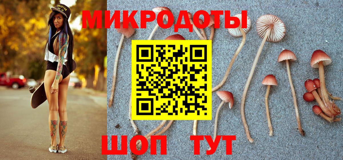 Галлюциногенные грибы Magic Shrooms Печора