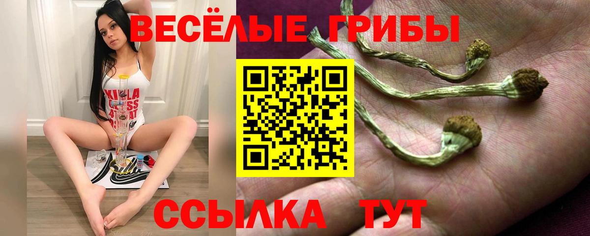 Печора  Псилоцибиновые грибы прущие грибы  Вход с VPN 