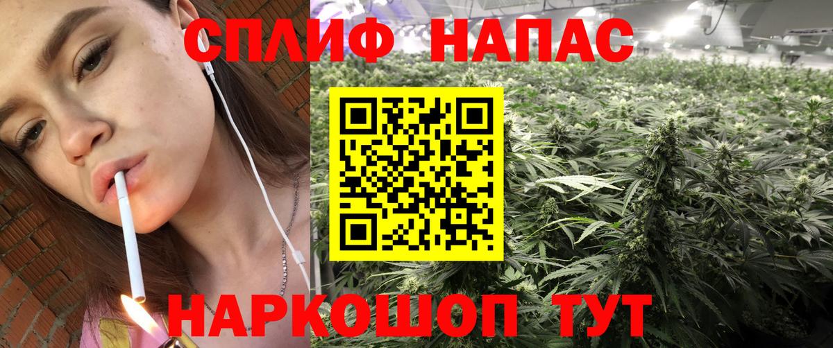 Канабис гибрид Печора